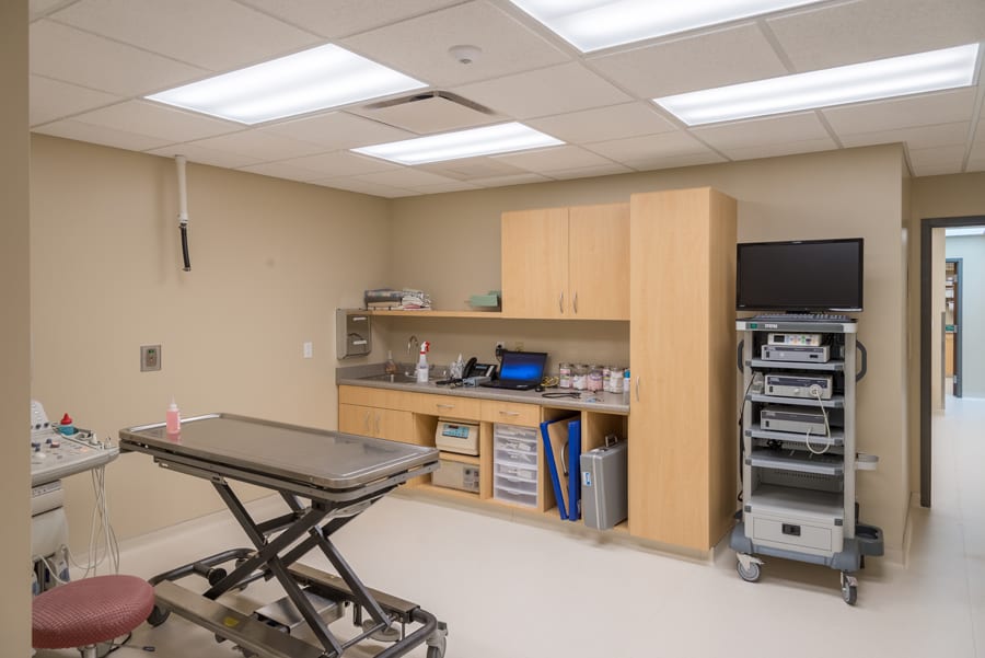 Whitney Veterinarian Clinic Patient Room