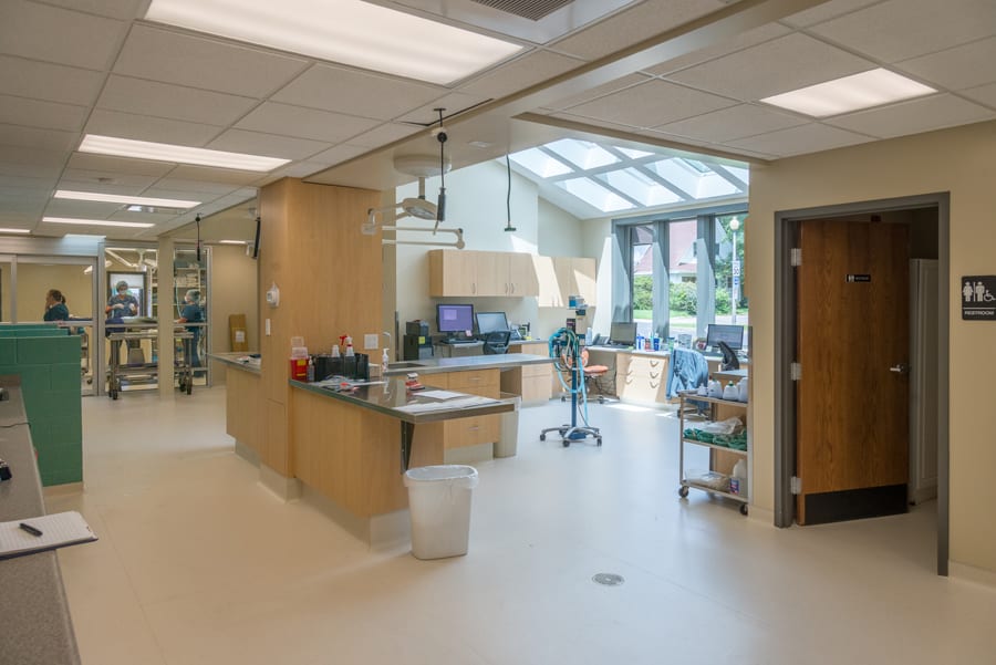 Interior Whitney Veterinarian Clinic